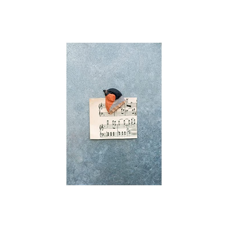 Wildlife Garden Bullfinch Magnet