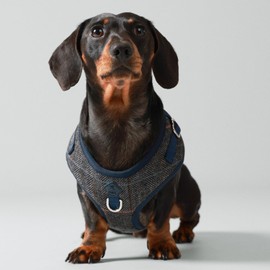 HUGO & HUDSON x HACKETT Tweed Dog Harness Adjustable No Pull Vest, Grey Checked Herringbone M