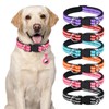 AUAUY Reflective Nylon Dog Collars, Double Security Adjustable Classic Pet