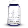 Nootropics Depot Palmitoylethanolamide Capsules | Pea | 400mg Pills |