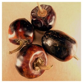 Chili Pepper, Cascabel - 8 oz Pouch