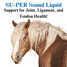 SU-PER Sound Joint Horse Supplement - Support for Joint, Ligament, and Tendon Health - Horse Vitamins and Minerals, Glucosamine, MSM, Bromelain, Amino Acids, Lysine - 1 Gallon, 2 Month Supply