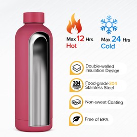 Insulated Water Bottle with Lid, 25 oz Reusable Leak-Proof Metal Stainless Steel Water Bottles for Travel, Sports, Gym, Outdoor (Brick Red)