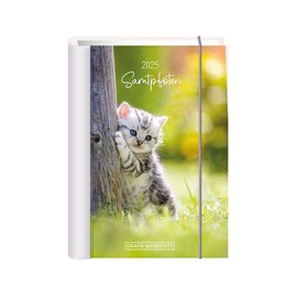 Terminplaner 2025 Samtpfoten: Terminplaner Hardcover