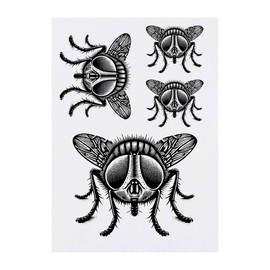 4 x 'House Fly' Temporary Tattoos - Water Resistant, Skin-Safe, Non-Toxic Transfers, Mixed Sizes (TO00083272)