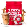 Scitec Nutrition 100% Whey Protein Professional with Extra Additional Amino