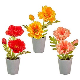Raz Imports HomeSweet Home9-inch Real Touch Potted Poppies, Assortment of 3 Faux Plants - Beautiful Seasonal Decor for Your Home