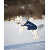 RC Pet Products Cascade Jacket Fleece Lined Water Resistant Dog