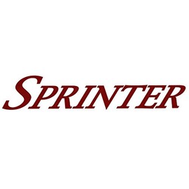 copper canyon 1 RV Keystone Sprinter Graphic Decal -2044