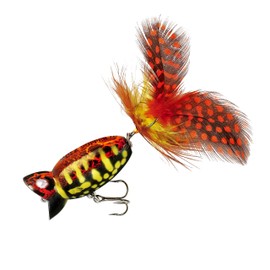 Arbogast Hula Popper 2.0 Topwater Fishing Lure with Feathered Treble Hook and Crackle Pattern Body, Freshwater Fishing Gear and Accessories, 2", 3/8 oz, Coach Hog, (G761-538)