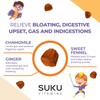 Kids' Digestive Gummies