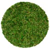 SuperMoss (26315) Moss Soil Toppers (Place Mats), Fresh Green, 12"