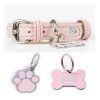 Collar Piel Perro Lujo Con Placa De Identificación Grabada