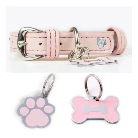 Collar Piel Perro Lujo Con Placa De Identificación Grabada