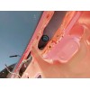 Gregparts LLC 1996-2000 Honda Civic Hatchback Rear Wiper Delete Plug