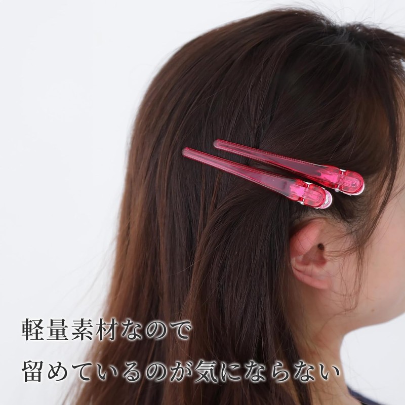Beauty KOEIDO Dakar Hair Clips, 3.9 inches (10.0 cm), Firmly