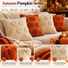 3D Plush Pumpkin Pillow Cover for Fall Decorating – Soft