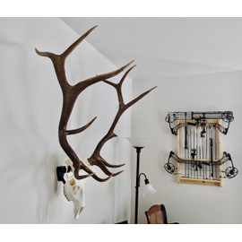 Top Rack: European Skull Mount Hangers Trophy Buck: Deer, Raging Bull: Elk, and Mammoth: Steer/Bison/Moose (Raging Bull Black)