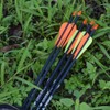 Carbon Arrow Hunting Arrows with 100 Grain Tip and Removable