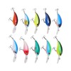10Pcs Artificial Crankbait 3D Fishing Bait Fishing Accesories for Bass