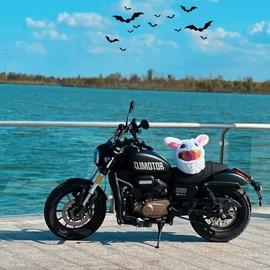 Motorcycle Helmet Cover Plush, Motorcycle Helmet Cover Men Women, Cartoon Plush Motorcycle Helmet Cover, Interesting Motorcycle Helmet, White