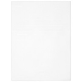 Cousin DIY 14 Count Perforated Plastic Stitching Canvas, 8.5"X11" 2/Pkg, White 2 Piece