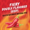 BIGS Sunflower Seeds, Fire Flavor, 5.35 oz.