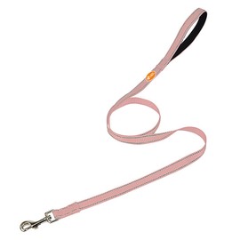 ANJISUNY 4 Ft Reflective Dog Leash Durable Nylon Puppy Leash with Reflective Threads and Comfortable Padded for Walking Dog Lead Great for Small and Medium Dog