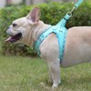 Mercano Soft Mesh Dog Harness and Leash Set, No-Chock Step-in