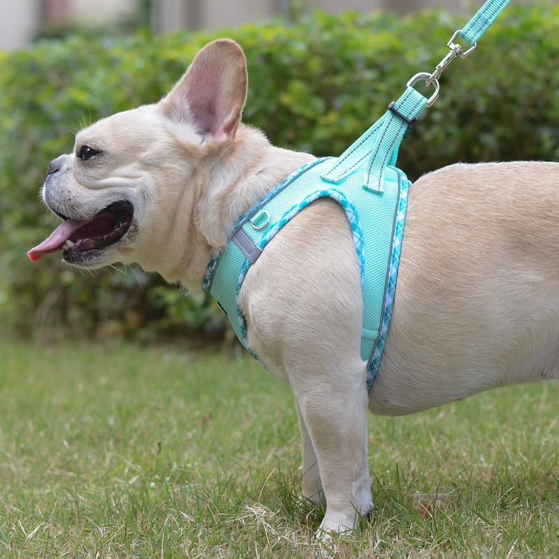 Mercano Soft Mesh Dog Harness and Leash Set, No-Chock Step-in