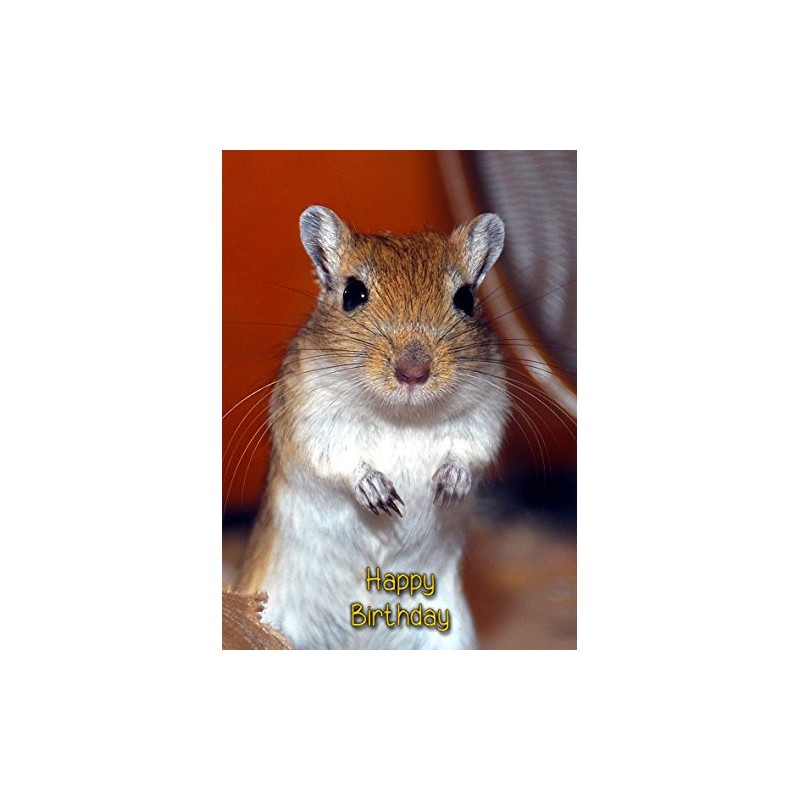 Gerbil Birthday Card