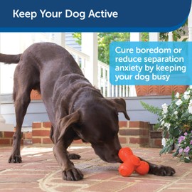 PetSafe Medium Sportsmen Squeak 'N' Treat Troog Pet Chew Toy