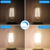 Energetic Dimmable LED Filament Light Bulbs, 8W, 60 Watt Equivalent,