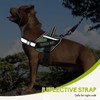 Service Dog Vest Harness and Leash Set, Animire in Training