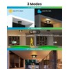 Outdoor Ceiling Light with Motion Sensor 9.3in - Porch Lights