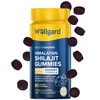Wellgard Himalayan Shilajit Gummies – Formulated with Ashwagandha, B-Vitamins, and
