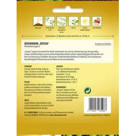 Bush Bean Sotexa Seeds Pack Size N1 Portion Seeds