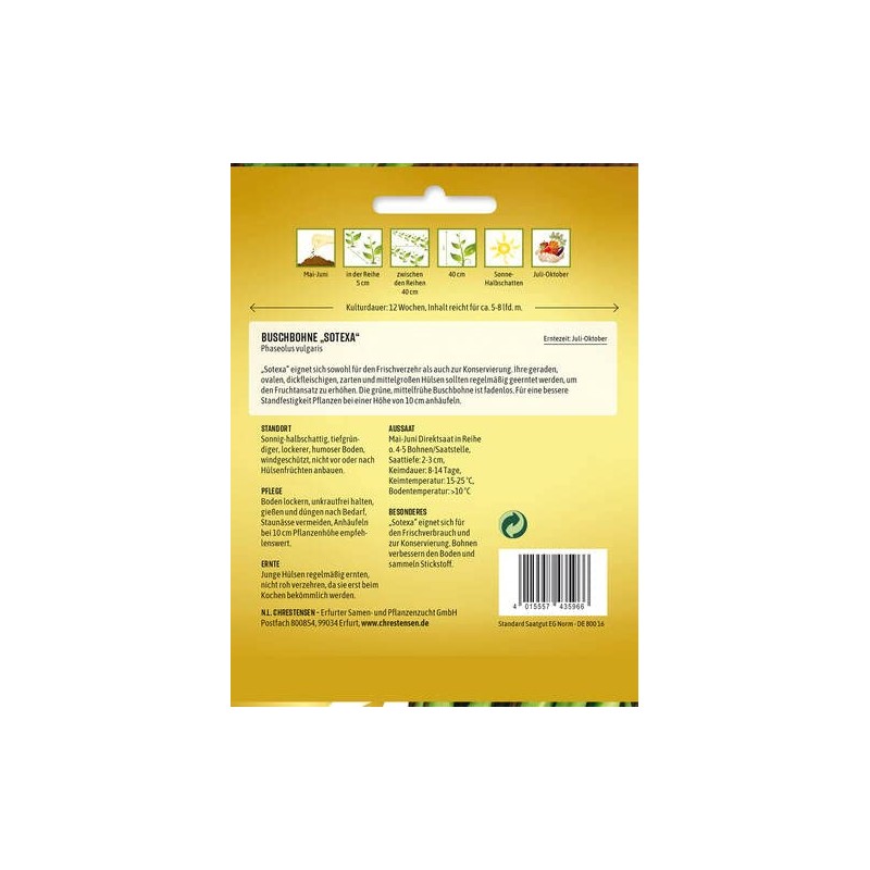 Bush Bean Sotexa Seeds Pack Size N1 Portion Seeds