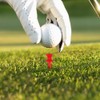 Golf Tees Plastic Driver, 120 Pieces Red Plastic Golf Tees,