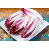Endive, Red Treviso - Lettuce Seeds (Chicory) - Heirloom