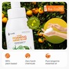 Fuwa3e Pineapple Enzyme Natural Foam Hand Wash Tangerine - 10.1oz