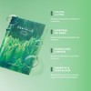 SKIN1004 Madagascar Centella Tea-Trica Relaxing Mask 24ml