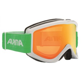 Alpina Smash 2.0 DH unisex adult ski goggles