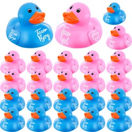 Deekin 24 Pieces Pink Blue Gender Reveal Rubber Ducks in Bulk Mini Ducky Bath Toys Small Ducks for Baby Shower Gender Reveal Party Favor Decorations(Team Boy / Girl)
