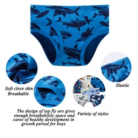 Boboking Little Boys Briefs Dinosaur Truck Toddler Kids Underwear (Pack of 6) 3/4T