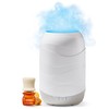 Lifelines Waves Ultrasonic Essential Oil Diffuser with Essential Oil Blend,