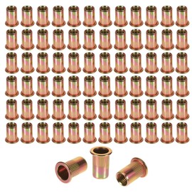 150 Stück Nietmuttern M5 Runde Flachkopf Gewinde Rivet Nutsert Cap Gewindenieten, Verzinkt Einschraubmutter Blindnietmuttern Hülsenmutter für Metallplatten Elektrogeräte