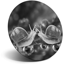 Destination Vinyl ltd Magnet for Refrigerator, Fridge BW - Kissing Snails Cute Kiss Snail for Office, Cabinet and Whiteboard, Magnetic Stickers, 40940
