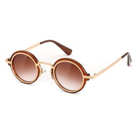 FEISEDY Retro Small Round Sunglasses for Men Women Classic Vintage Hippie Circle Style UV Protection B0208 Tea