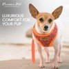 Parisian Pet Dog Harness - Adjustable Orange/Blue Puppy Harness -